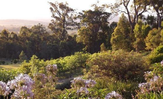 Wallaby Ridge Retreat Mount Tamborine Exterior foto